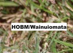 Photo of HOBM/WoA Women's 2023: HOBM/Woa 2023. Is this an old photo? If so, click here to send us a new one.